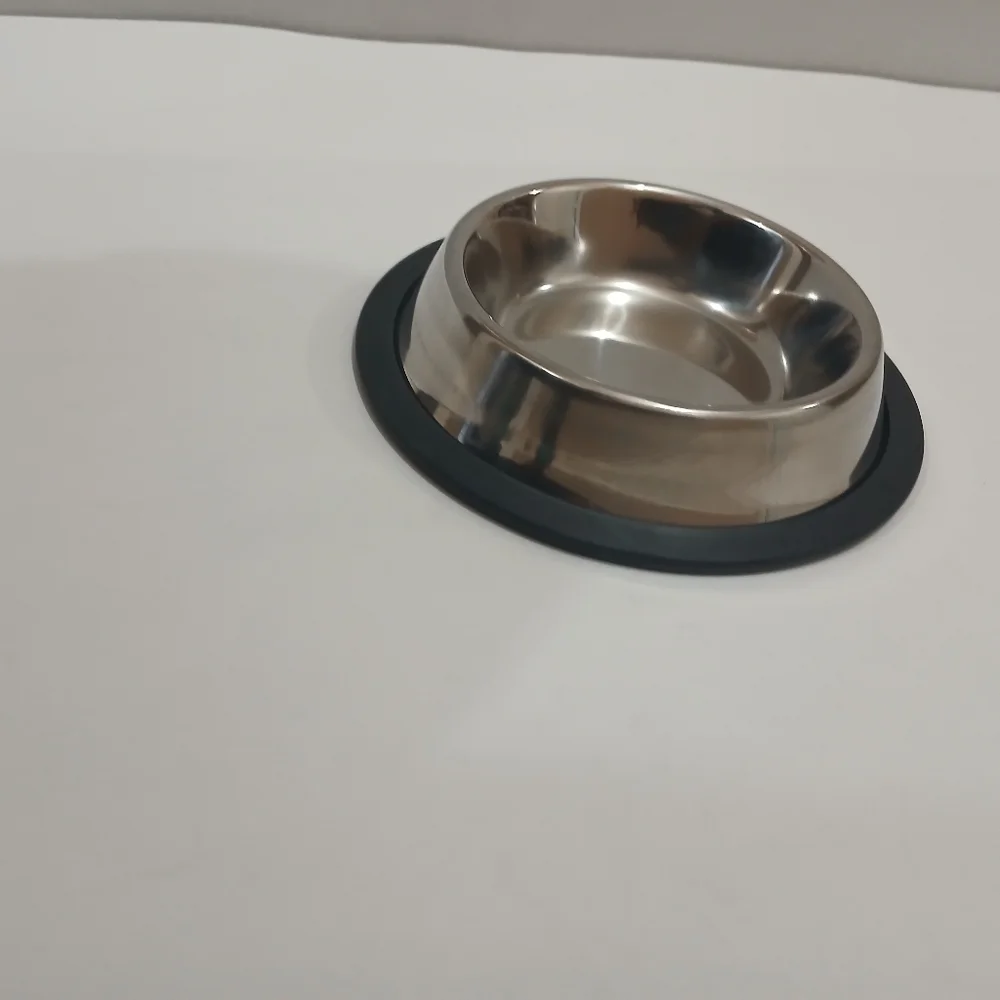 Stainless Steel Pet Bowl with Black Base